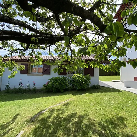 Bed & Breakfast Calicho 3*